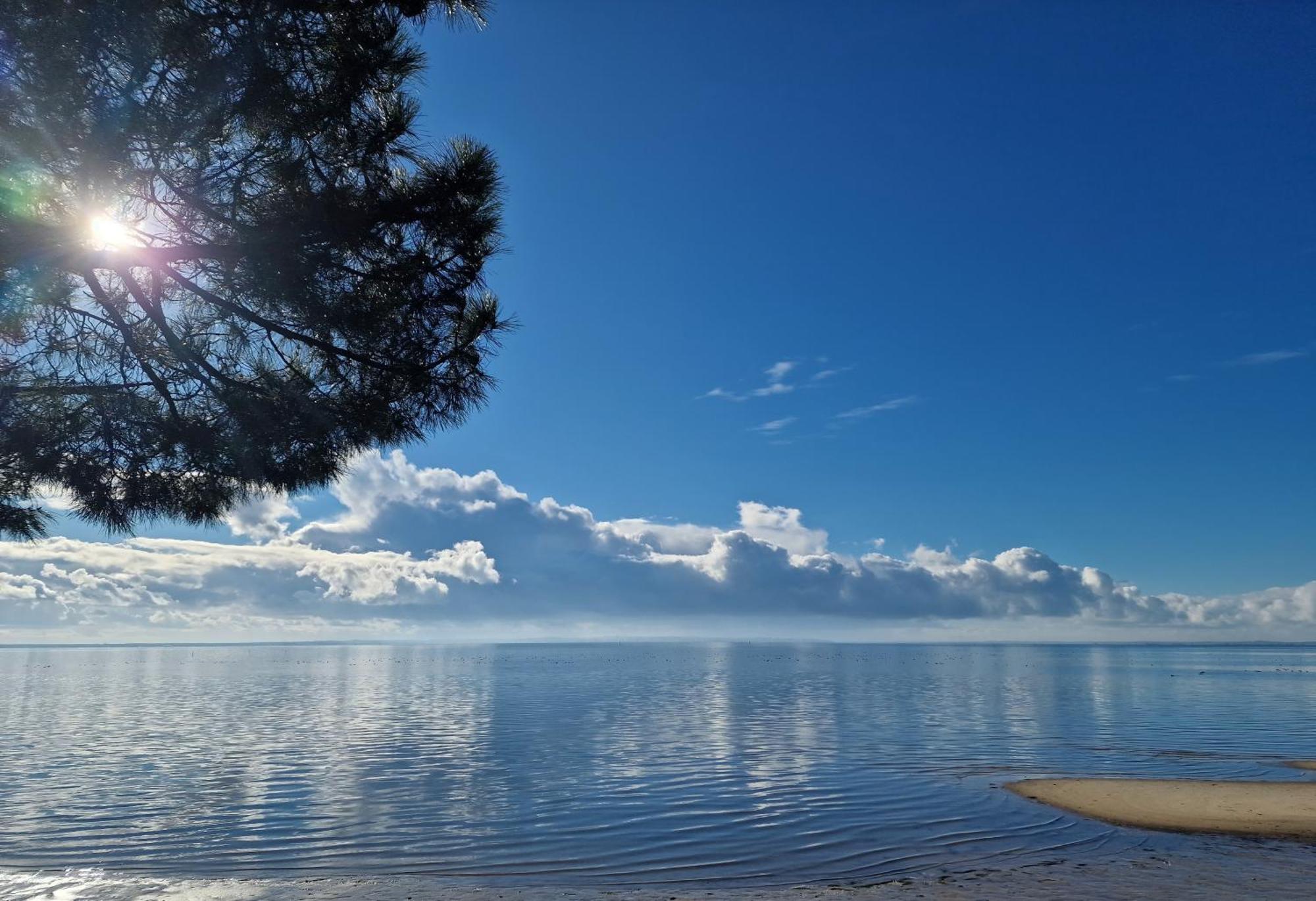 Villa Petit-Pere - A 400M De La Plage Taussat-les-Bains Eksteriør billede
